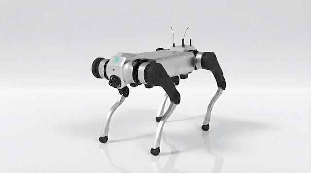 D1 MaxPro